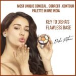 INSIGHT Cosmetics Pro Natural Powder Concealer Palette - Corrector, 15gm Buy Online at Best Price in UAE - Amazon.ae - Image 4